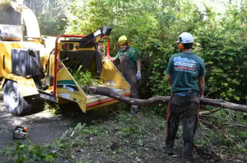 tree services Talkeetna